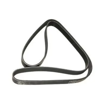 Correia 8PK2590 para Cummins Isf 3.8 Volare — 10421092