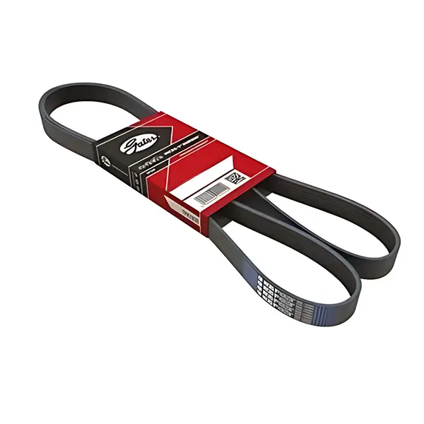 Correia Poly V Continental C Medida Especial — 1800522
