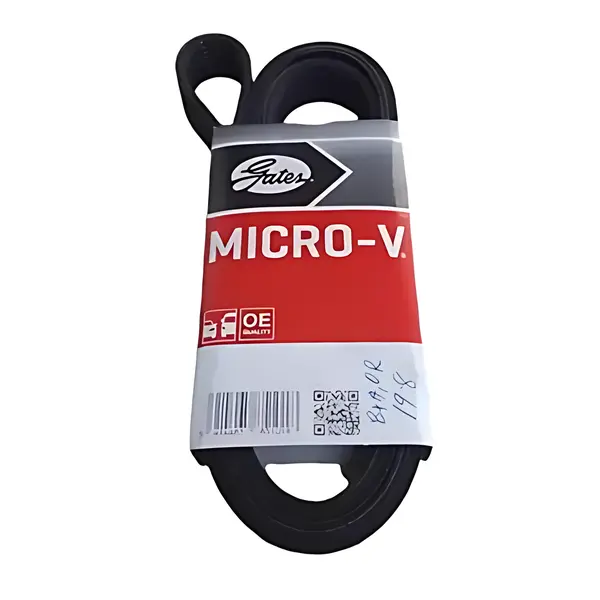 Correia Poly V Gates Motor — 12PK0675