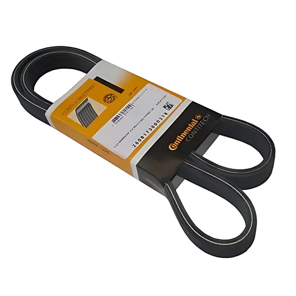Correia Poly V Medida Especial Continental C — 20513561