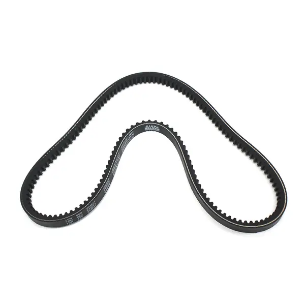 Correia V Simples 13X0895 — MM100365E