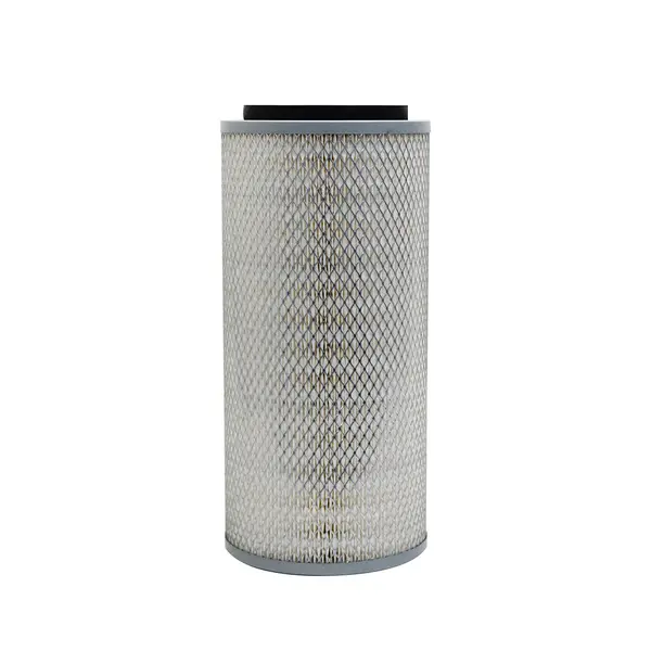 Filtro Ar Externo Ford — WAP162