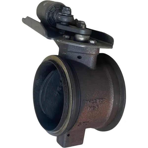 Freio Motor Caminhao para Scania NTG — 2814518