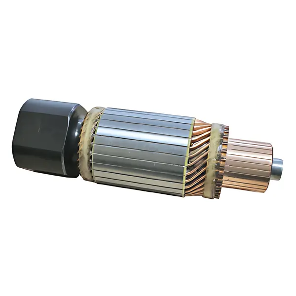 Induzido Partida para Volvo FH12 NH12 — 2004005025