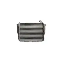 Intercooler para MB Accelo 815 915C 1016 — 9795000603