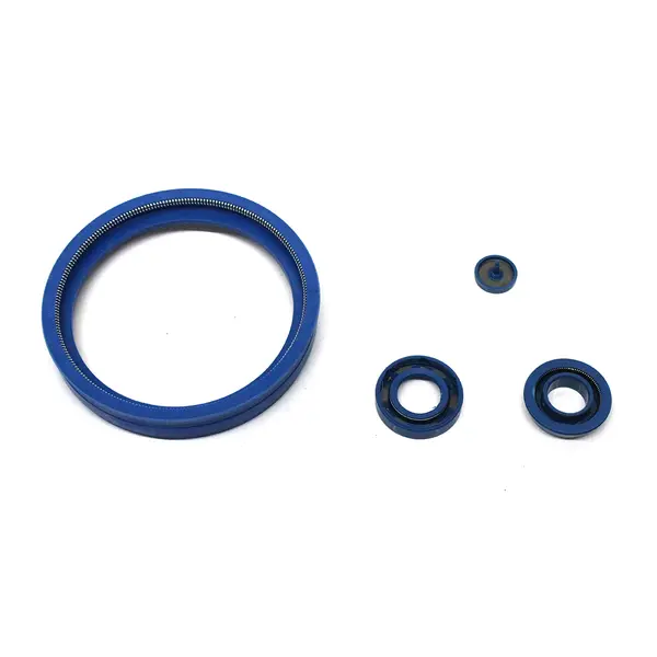 Jg Reparo Servo/cuica Freio MB Agl — 01090JOGO
