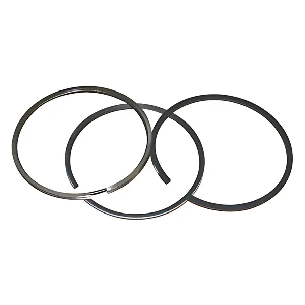 Jogo Aneis para Ford F1000 F4000 VW 11.130 — 2RA198151