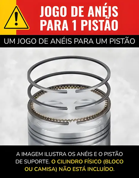 Jogo Aneis para Scania T112 T113 B111 K112 — 800024613e011
