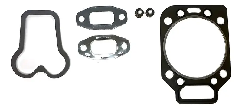Jogo Junta MWM D229 para Ford VW para Agrale — 491950