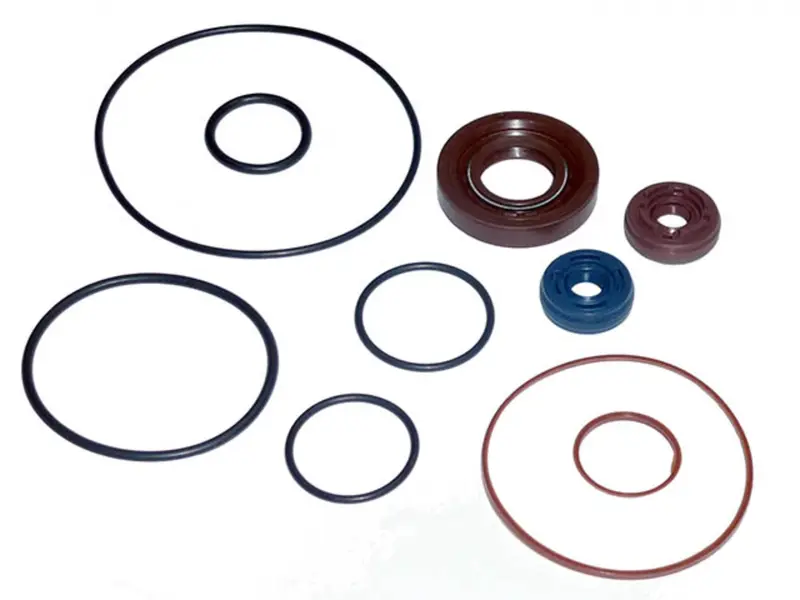 Jogo Reparo Bomba para Volvo FH400 FH420 FH440 — 8695633003