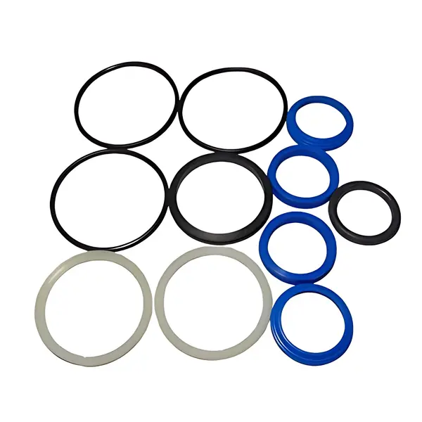 Jogo Reparo Completo Motor ZF — 0095298061