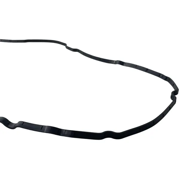Junta Carter para DAF XF105 480 530 Motor MX13