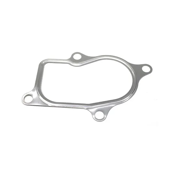 Junta Chapa Flange Escape VW Motor — 4896254