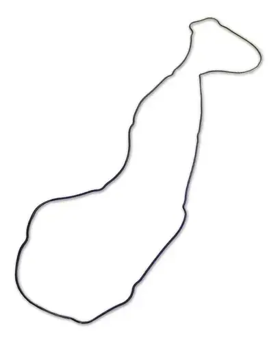 Junta Coletor para Volvo FM FMX B340R B380 — 20850506