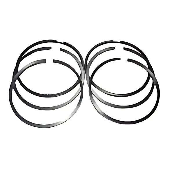 KIT Aneis Motor para MB OM904 OM906 EURO 5 — 800100320000