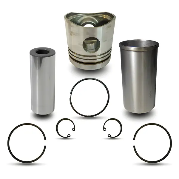 KIT Reparo Motor MWM 226 — WE3Y6A108A