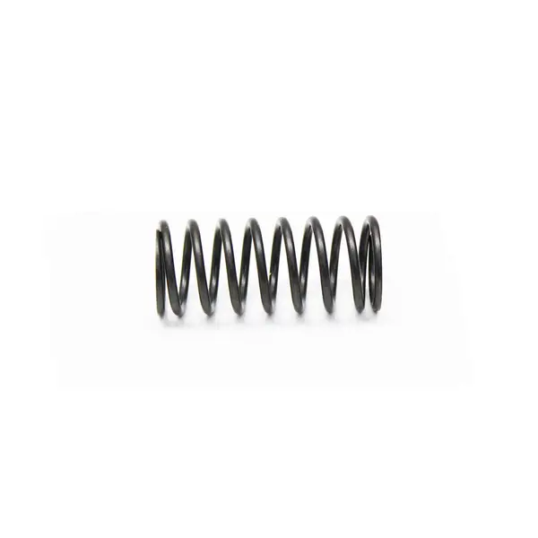 Mola Interna Valvula para Ford VW — 902402202761E