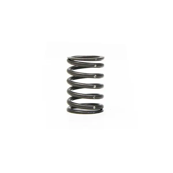 Mola Motor MWM 229 51X35MM Adm Esc — 902403101260E