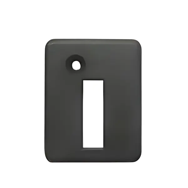 Moldura Macaneta Porta LE para Ford Cargo — TJG837241