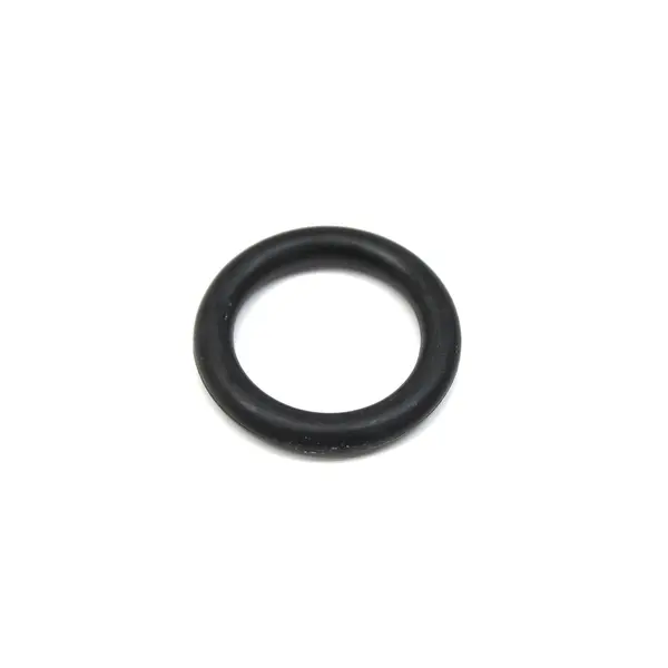 O Ring — 3003695
