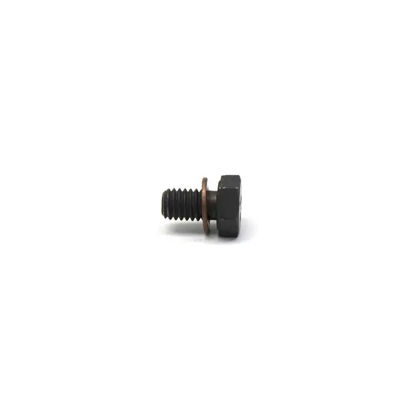 Parafuso (6MM) M6X10X1,0 com Arruela — 3939570