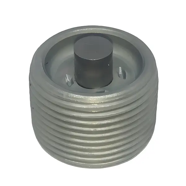 Parafuso Bujao Cambio ZF S5-420 — 2R0301141