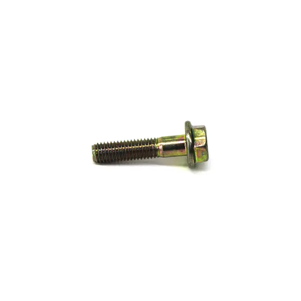 Parafuso Flangeado MWM — 602002600835E