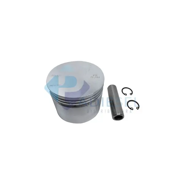 Pistao Compressor Lp 48 75MM (0,10)