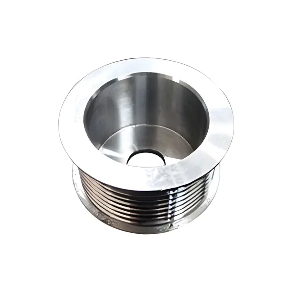 Polia Alternador - VW Novo Delivery — 23C903119