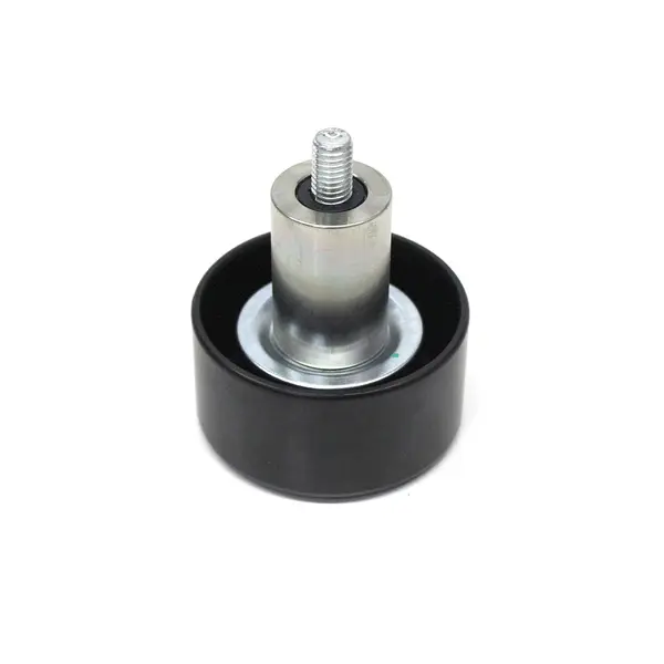 Polia Lisa Correia VW Novo Delivery — 5309066