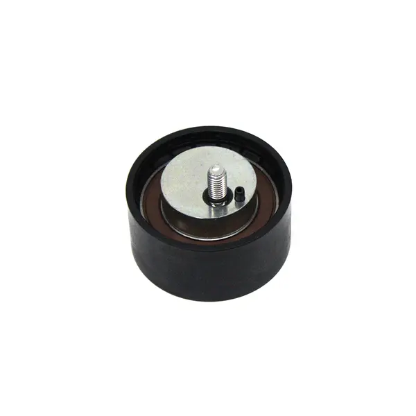 Polia Lisa Plastico Desvio VW Novo — 5802798024