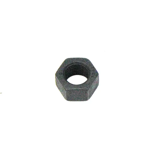 Porca Fixacao Engrenagem Bomba — 3163708