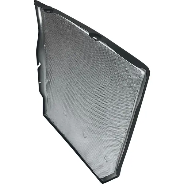 Protetor Catalisador para Scania NTG 2019 — 2560450