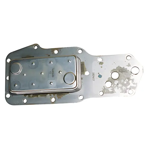 Radiador Oleo para Ford Cargo 814 815 915 — BF6T6720A