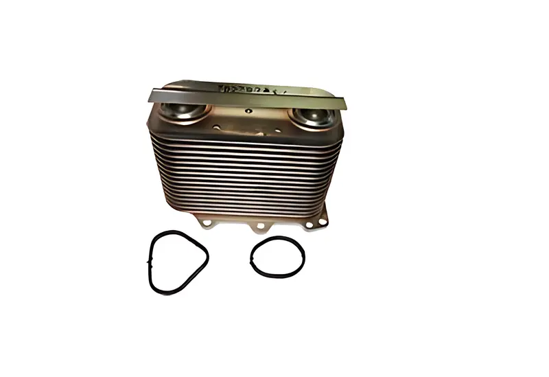Radiador Oleo VW Constellation 17280 24280 — 07W117015