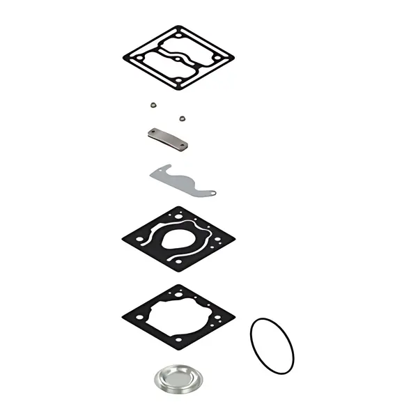 Reparo Compressor para Ford Cargo — BG2X2W893AA