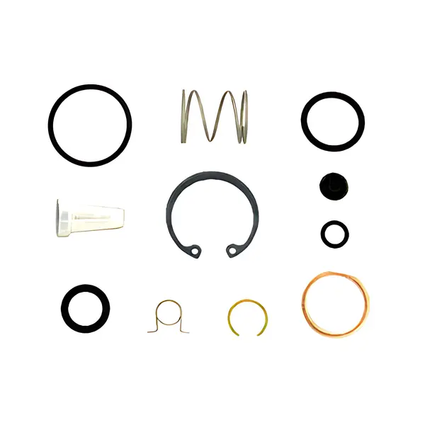 Reparo Valvula Drenagem Freio Rodas — 2RG698025E