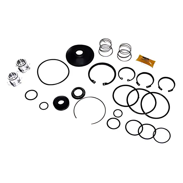 Reparo Valvula II31291 K007446 Moderna — 0004305906R