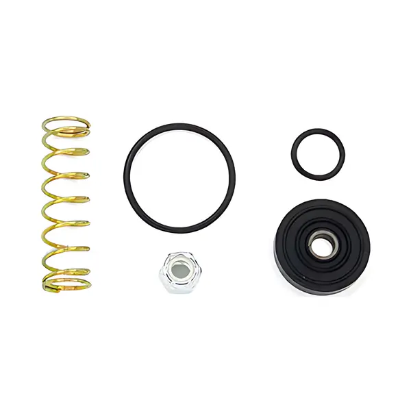 Reparo Valvula para Ford Cargo ate 96 — 2RP698803A