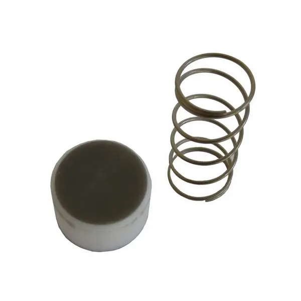 Reparo Valvula Retencao para Ford F12000 — 2SL698675