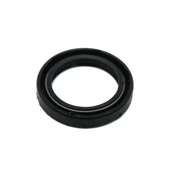 Retentor Eixo Comando — 02539BRGP