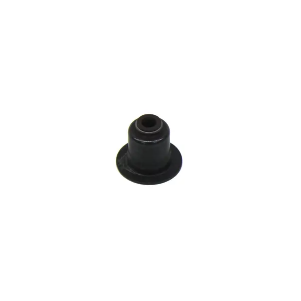 Retentor Haste Valvula Original MWM — 70730060E