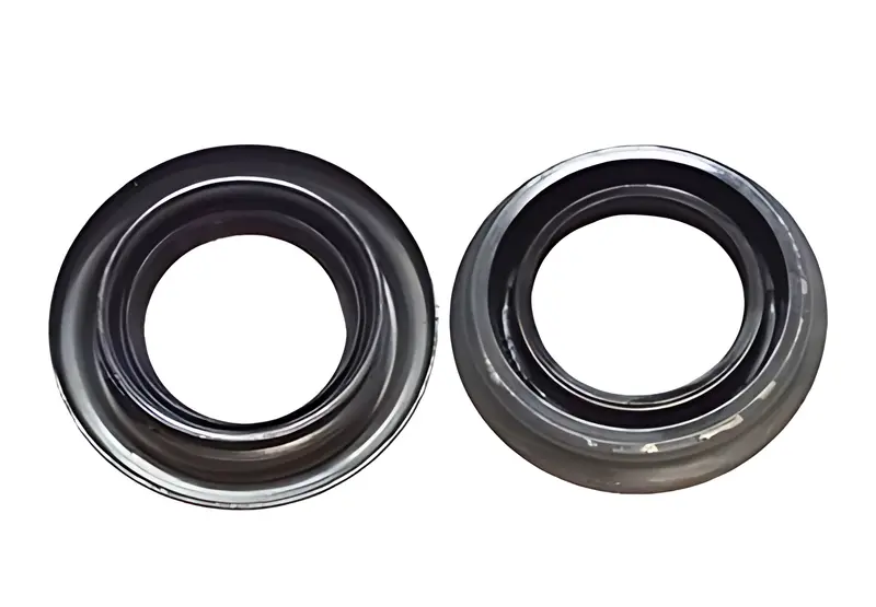Retentor Pinhao Diferencial Dana 267 — BF8T4676B