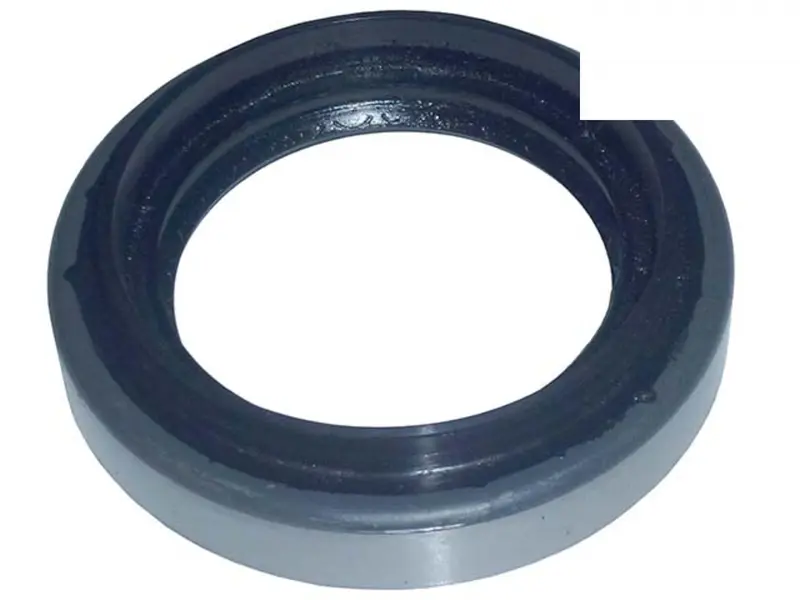 Retentor Pinhao para Iveco Daily 70C17 — 500054243