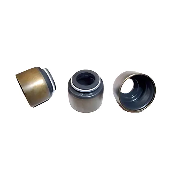 Retentor Valvula para Hyundai Hr Motor D4BH — 010270