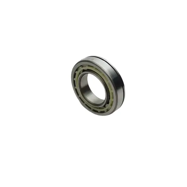 Rolamento Agulha S5-42/420 Euroricambi — 735321010