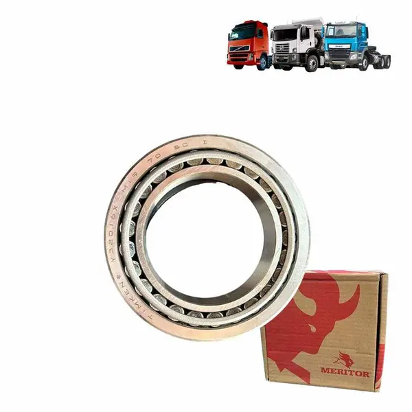 Rolamento para Volvo FH e para DAF 6X4 — 21524061