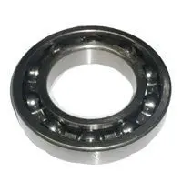 Rolamento Traseiro Transmissao Z.F. — 2T0301845A