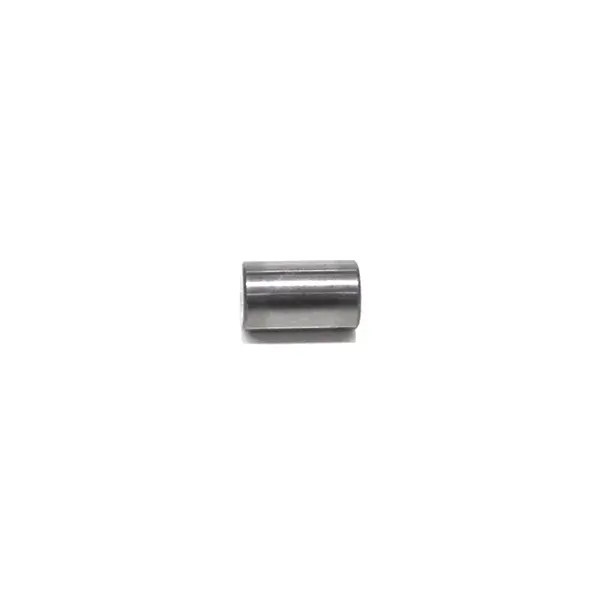 Rolete 10X16,90MM Engrenagem Satelite — 0750119143