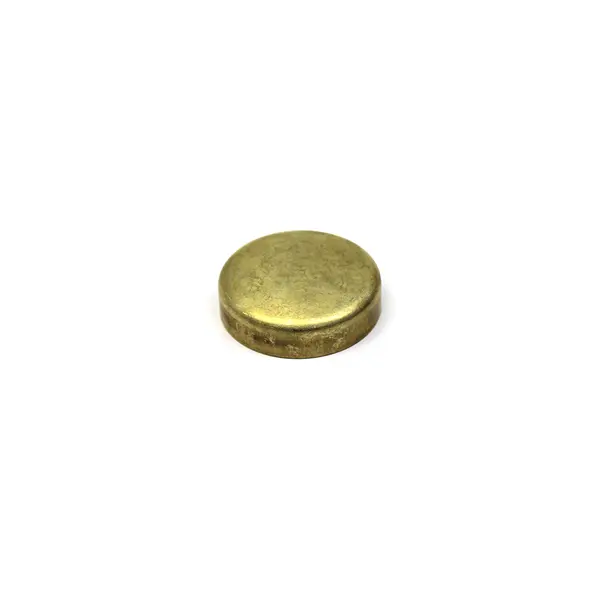 Selo Bujao 50,20MM ZF para Ford VW — 602152250050E